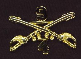 ACB Cross Sabers Insignia Large | Crossed Sabers – Chapter Gift Shop
